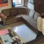 CCTV मे कैद टीचर की स्कूल में अश्लीलता, शिक्षा विभाग ने लिया ये बड़ा एक्शन